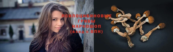 гидра Заволжск
