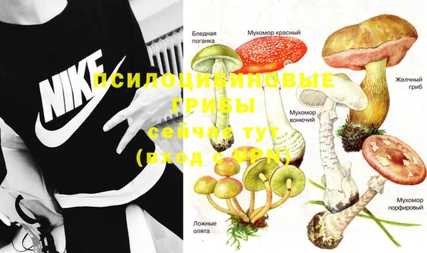 бошки Елизово