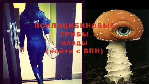 бошки Елизово