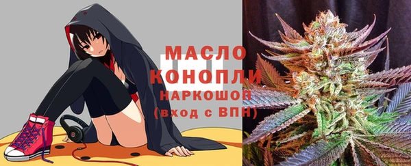 мдпв Заводоуковск