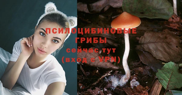 кокаин колумбия Ельня