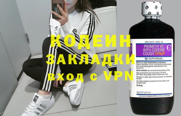 мдпв Заводоуковск
