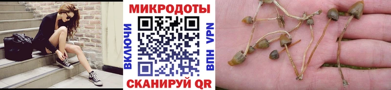 Галлюциногенные грибы ЛСД  Купить закладки  Невель 