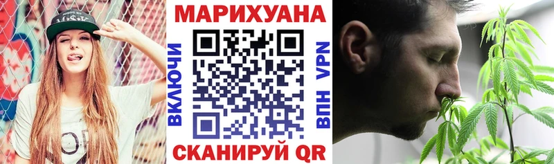 Шишки марихуана планчик  Купить где  Невель 